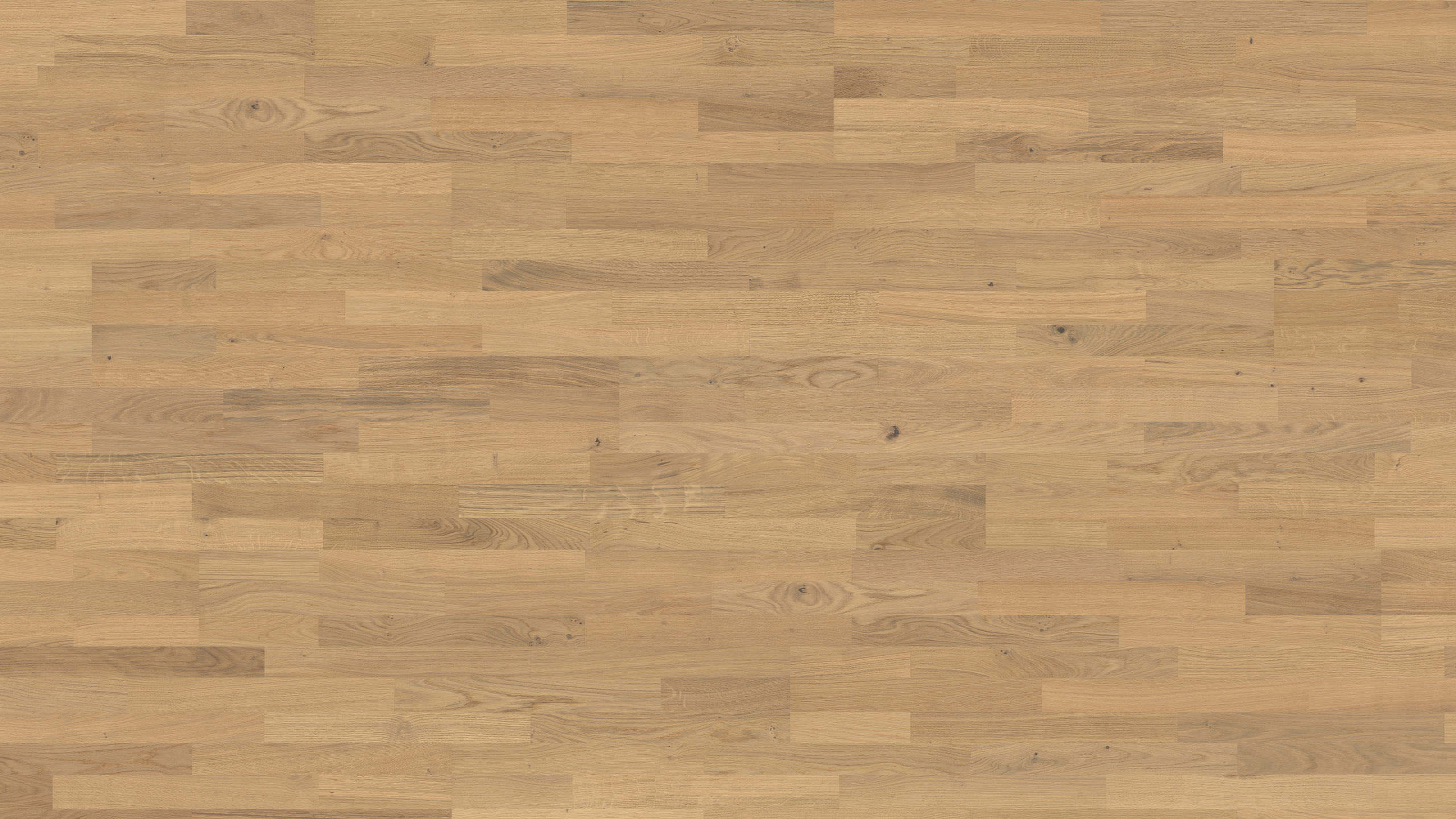 Haro-Parkett-Eiche-invisible