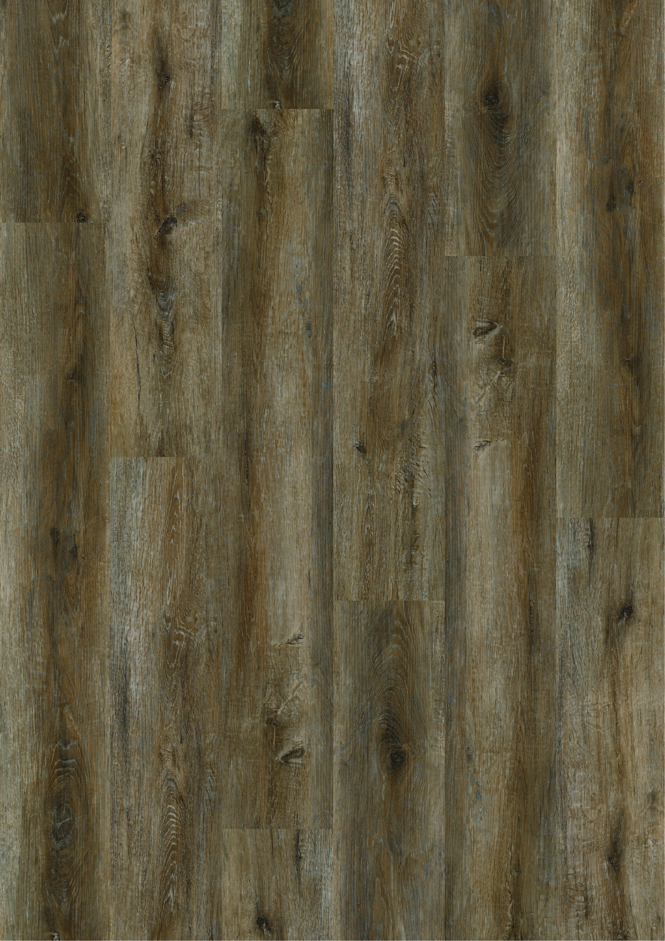 Klick Vinylboden Ulme Belchen