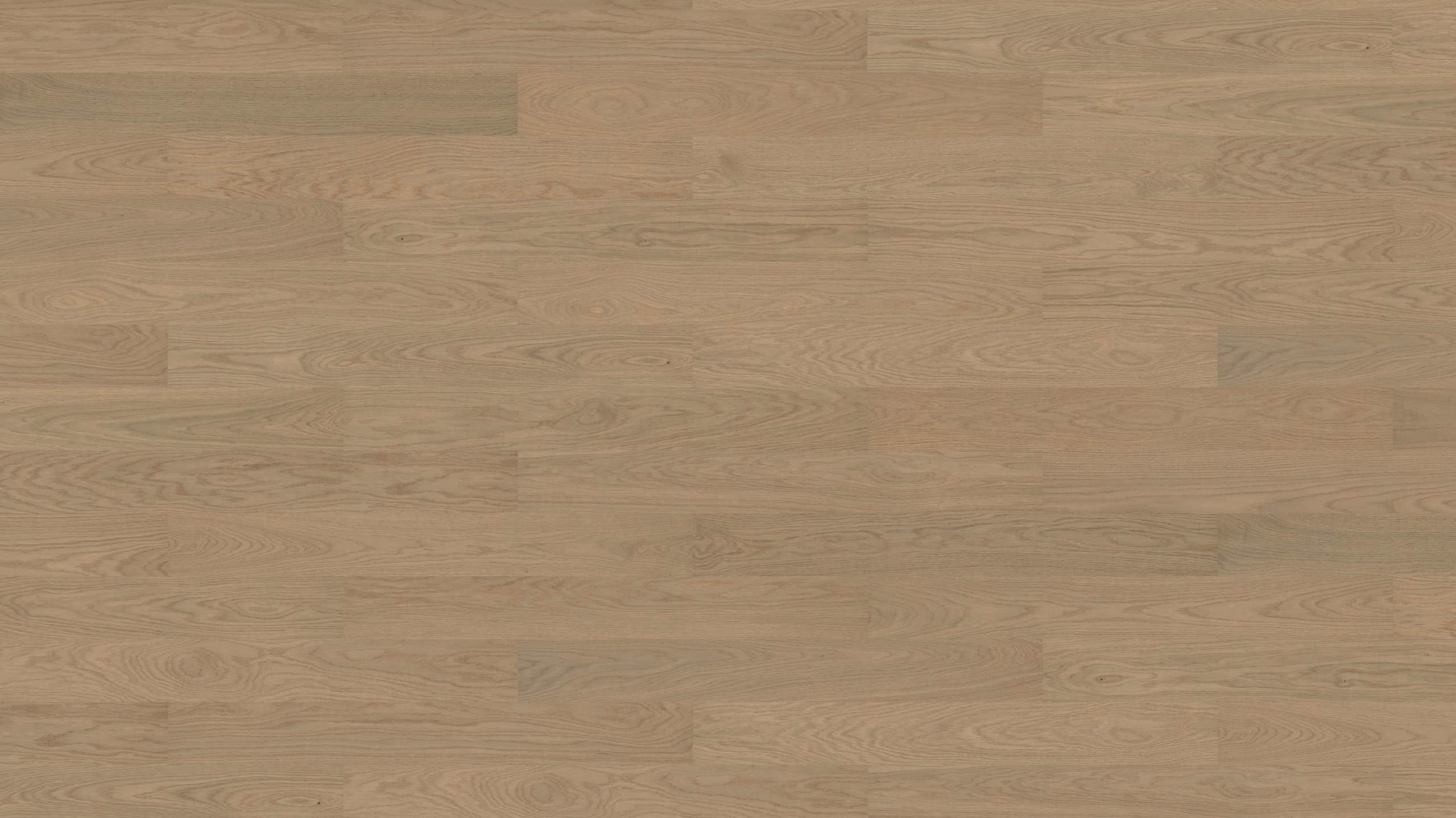 Haro-Fertigparkett-Eiche-sandgrau