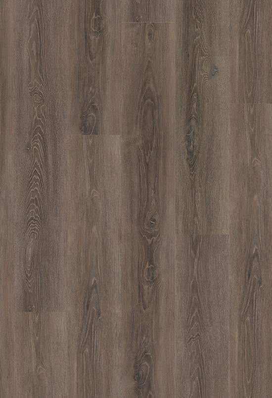 Klick-Vinylboden Eiche Pimora mit Trittschalldämmung