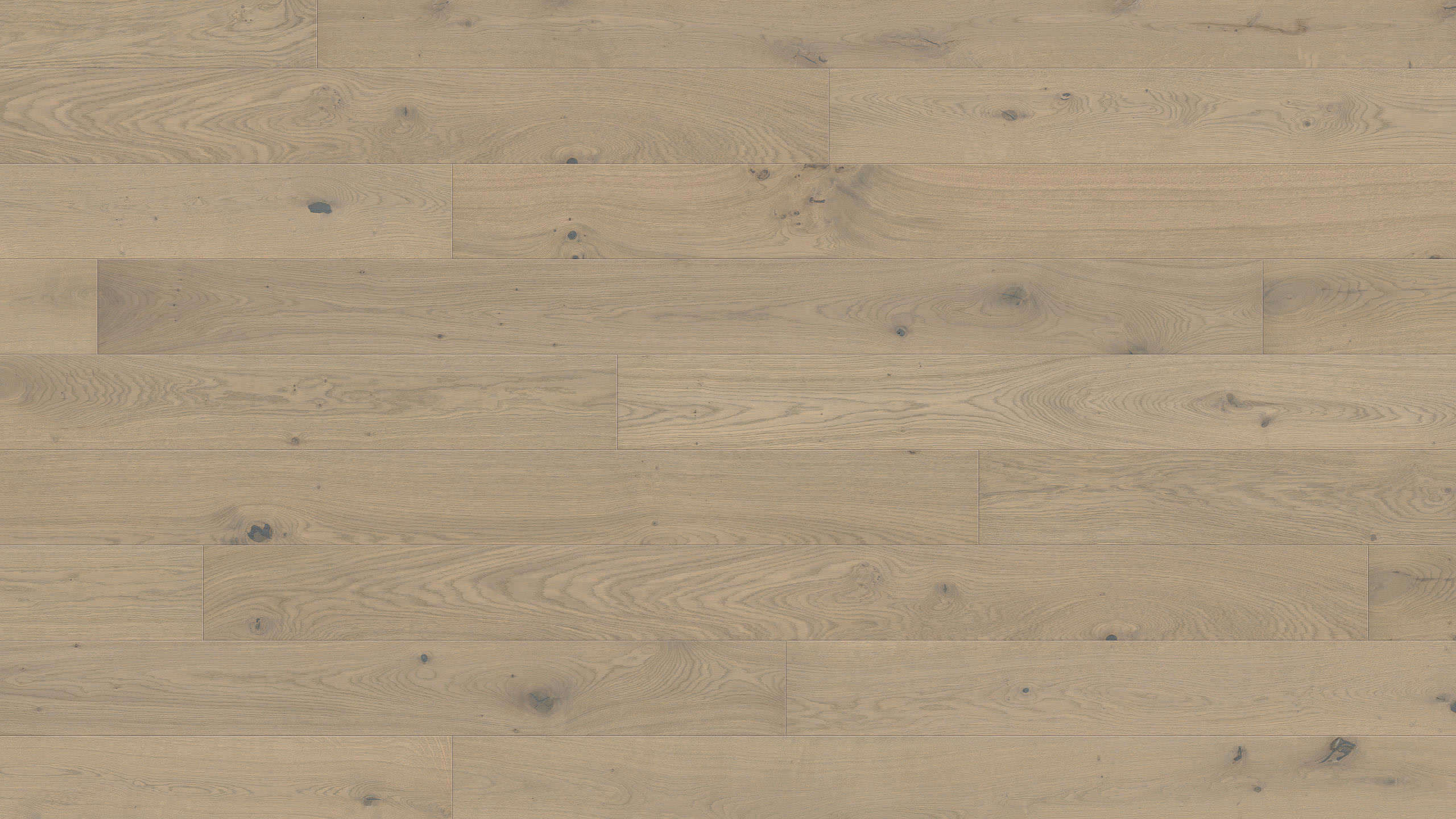 Haro-Nut-Feder-Parkett-Eiche-sandgrau