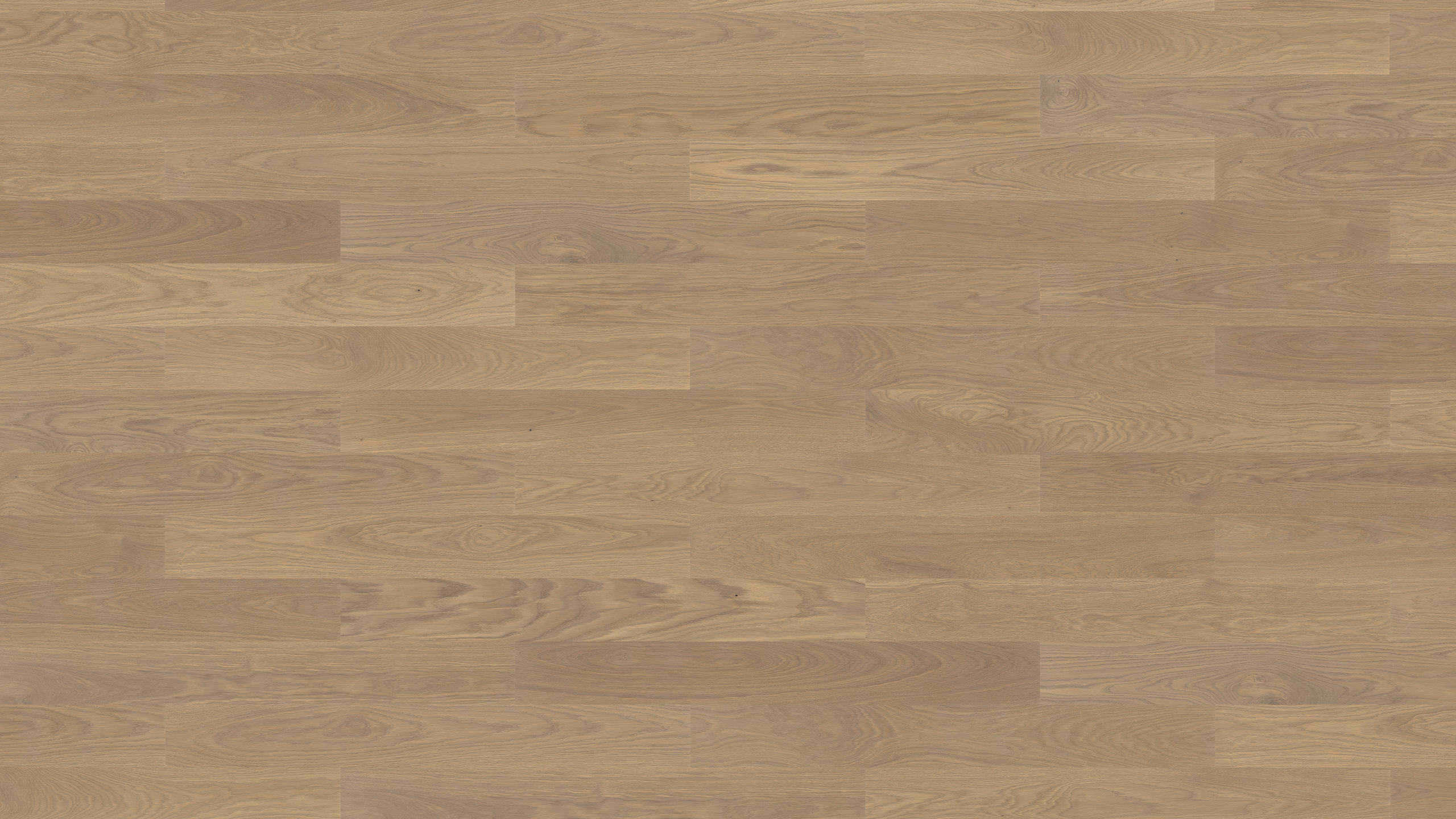 Haro-Fertigparkett-Eiche-sandgrau